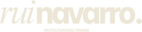 Rui Navarro logo